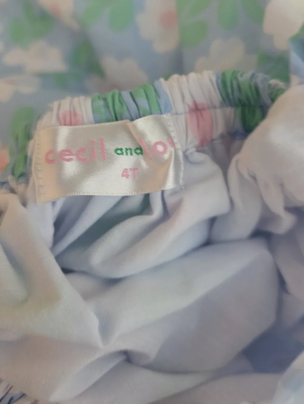 Cecil & Lou 4t Smocked Brand Floral Outfit Set